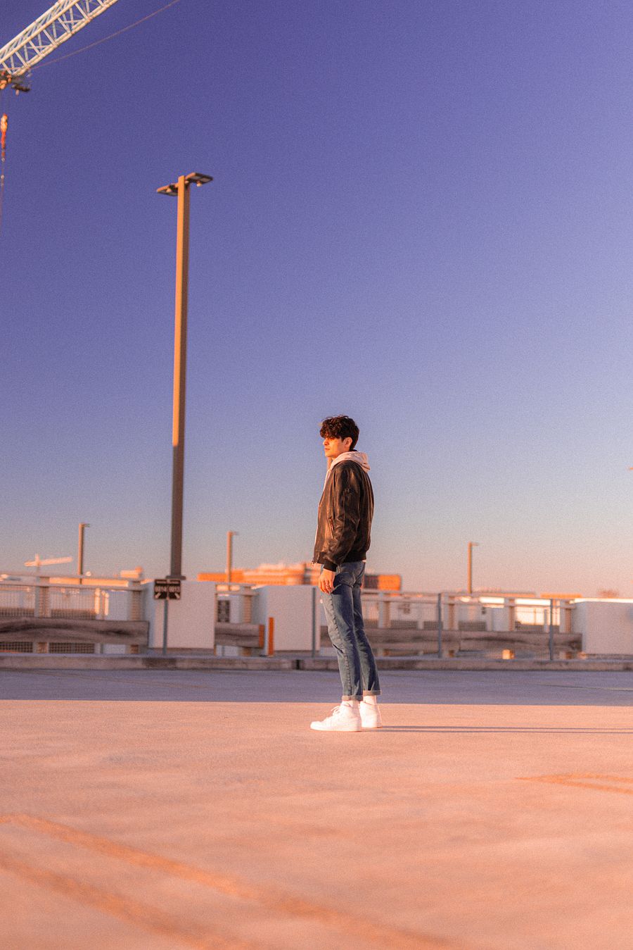 Rose Preset product image (2)