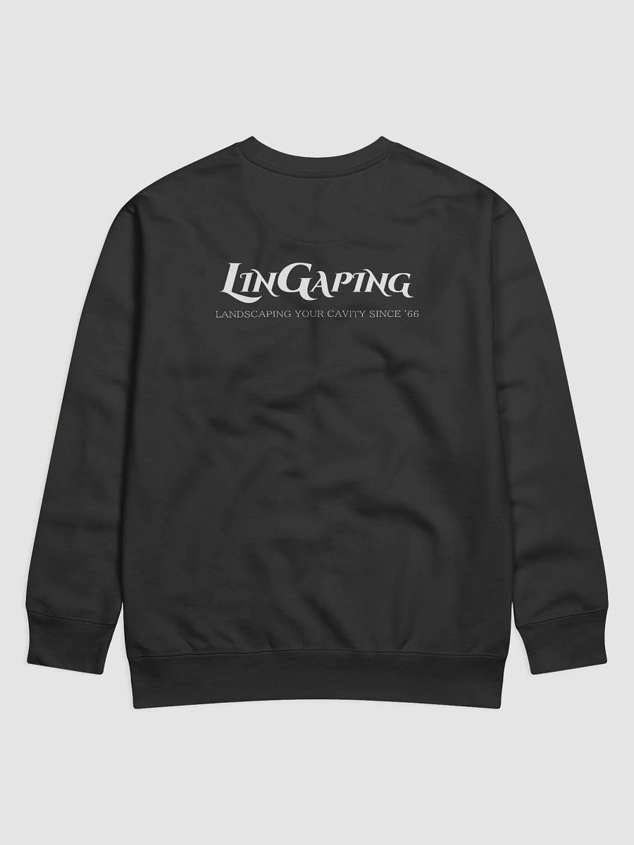 LLC sweatshirt + back product image (1)