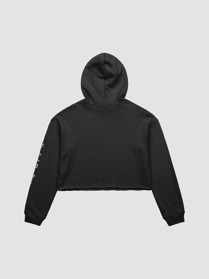 Ho_And_The_Bros Rainbow Logo Cropped Hoodie product image (8)