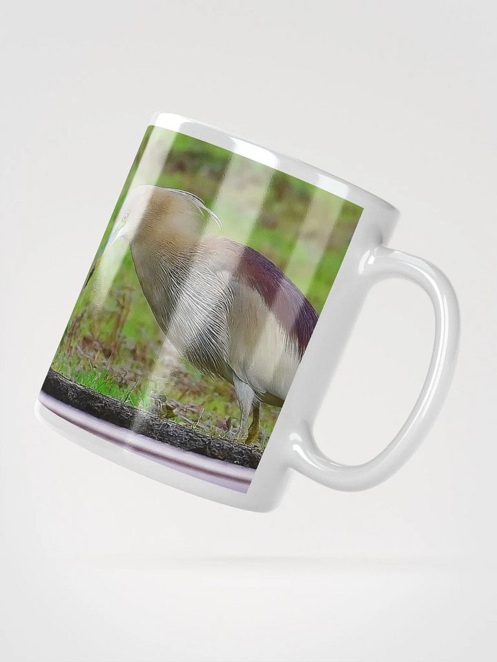 IUCAA Birds MUG product image (2)