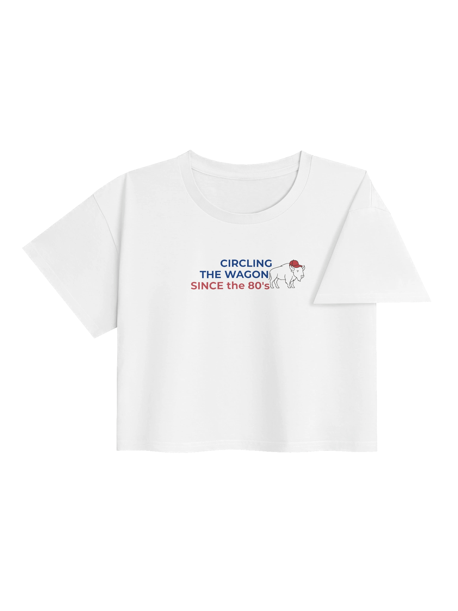Circling Since the 80's Crop Top product image (4)
