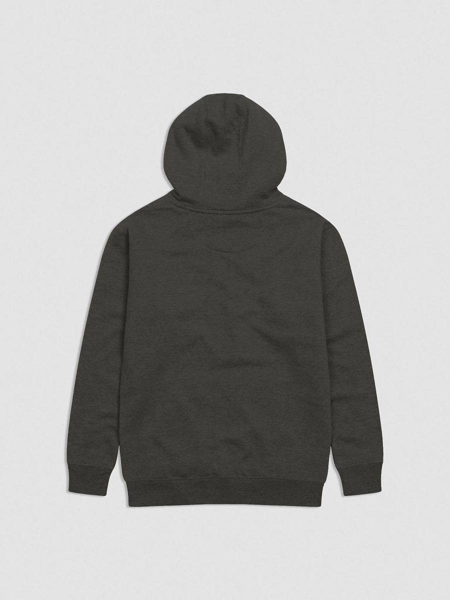 Story of the Hoodie 1 product image (2)
