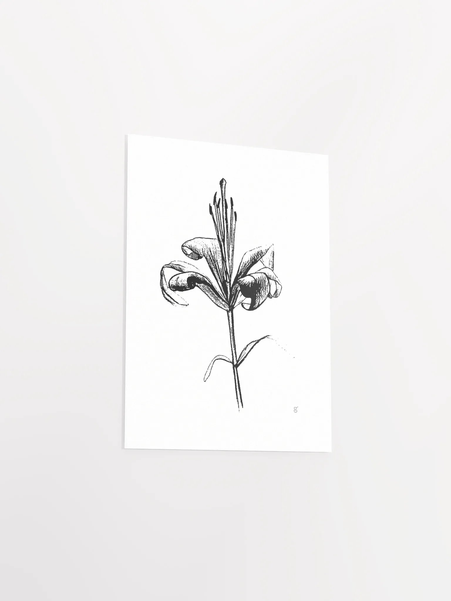 Lily Elegance Poster - Fine Flower Light product image (3)
