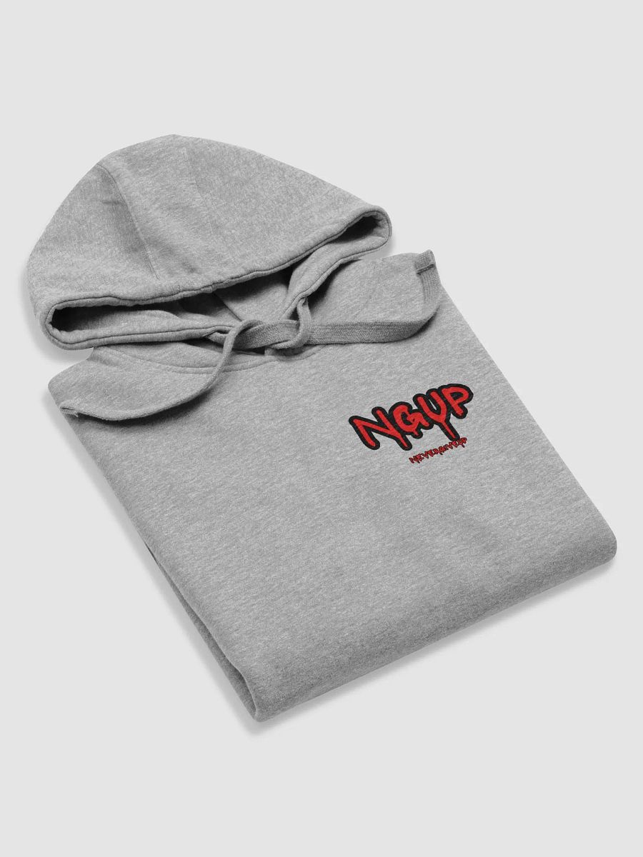NGUP Distressed Premium Hoodie product image (19)