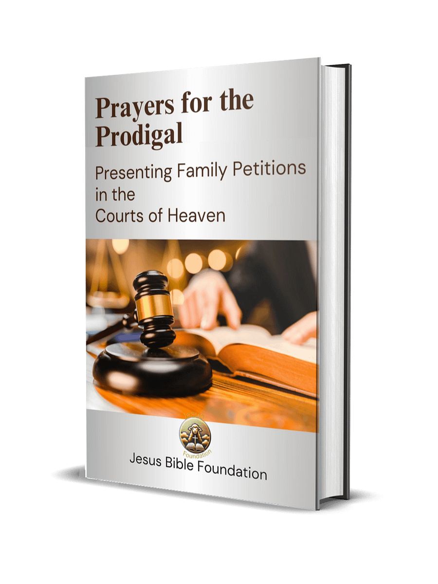 Prayers for the Prodigal: Presenting Family Petitions in the Courts of Heaven product image (1)
