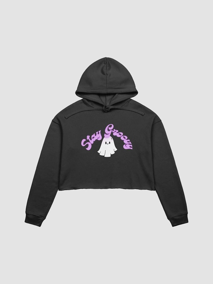 Stay Groovy Cropped Sweatshirt product image (2)