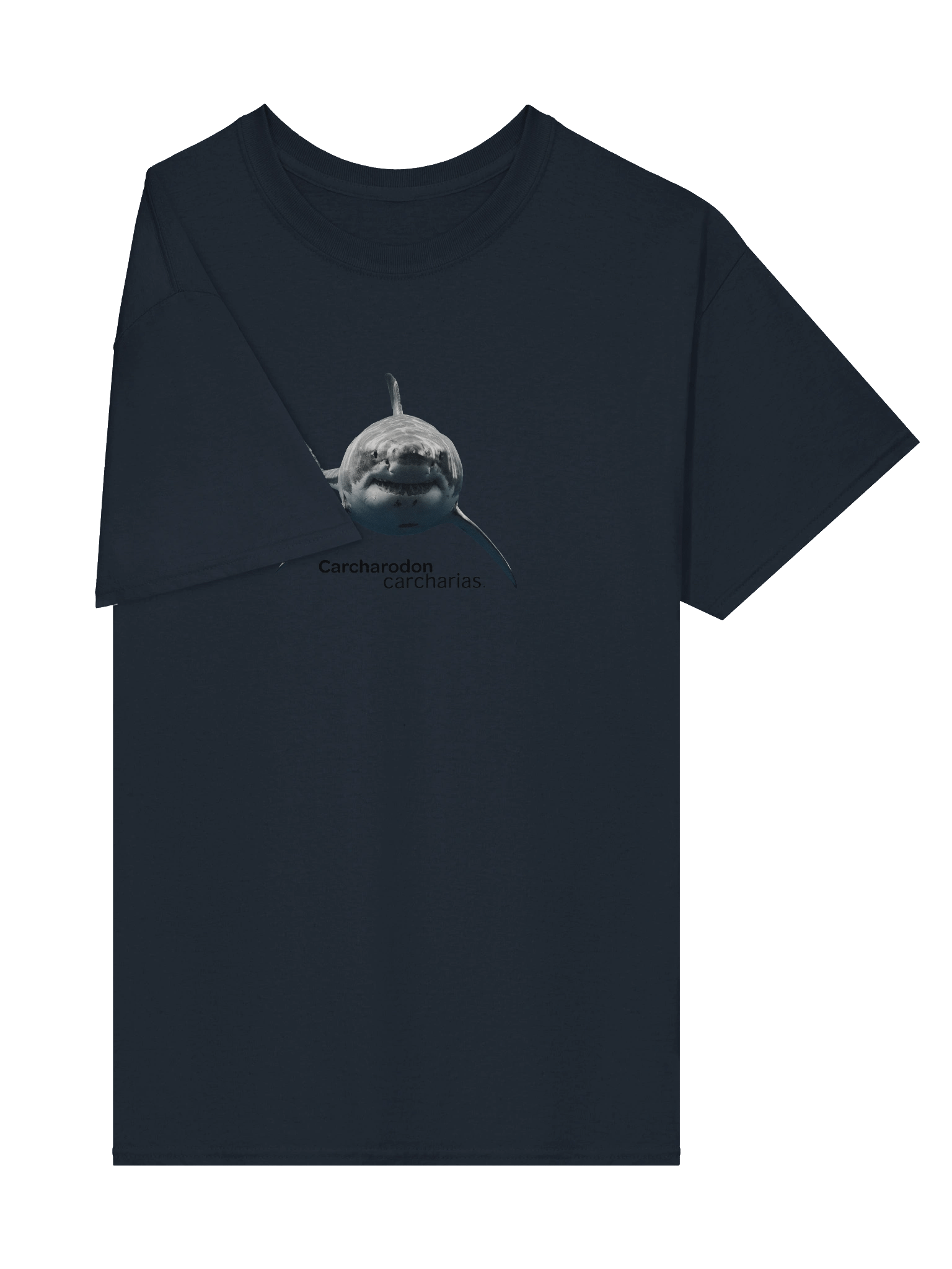 Carcharodon carcharias product image (4)