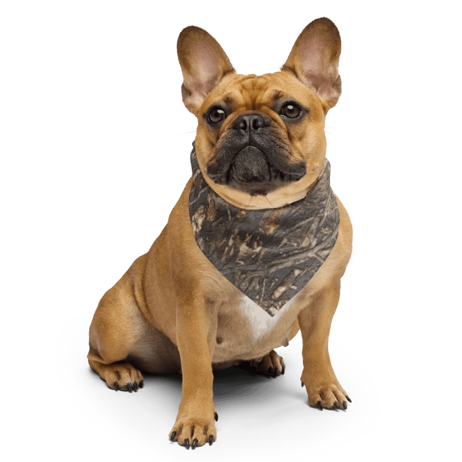 Bandana - Dead Split - It Happennnns Camo product image (4)