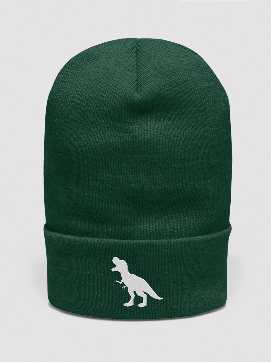 DINOSAUR Beanie product image (2)