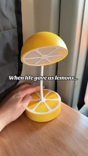 We didn’t name our RV Mr. Lemon right away. He had to earn it—with leaks, electrical drama, and a table that staged a full-bl...