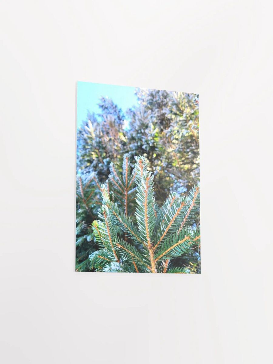 Frosted Trees product image (40)