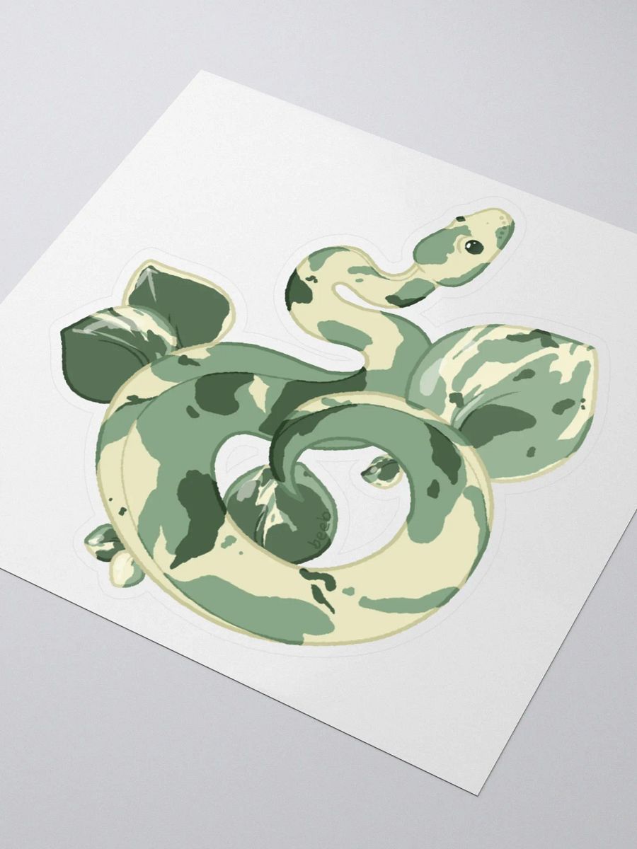 NEW Variegated Peperomia Houseplant Snake product image (3)