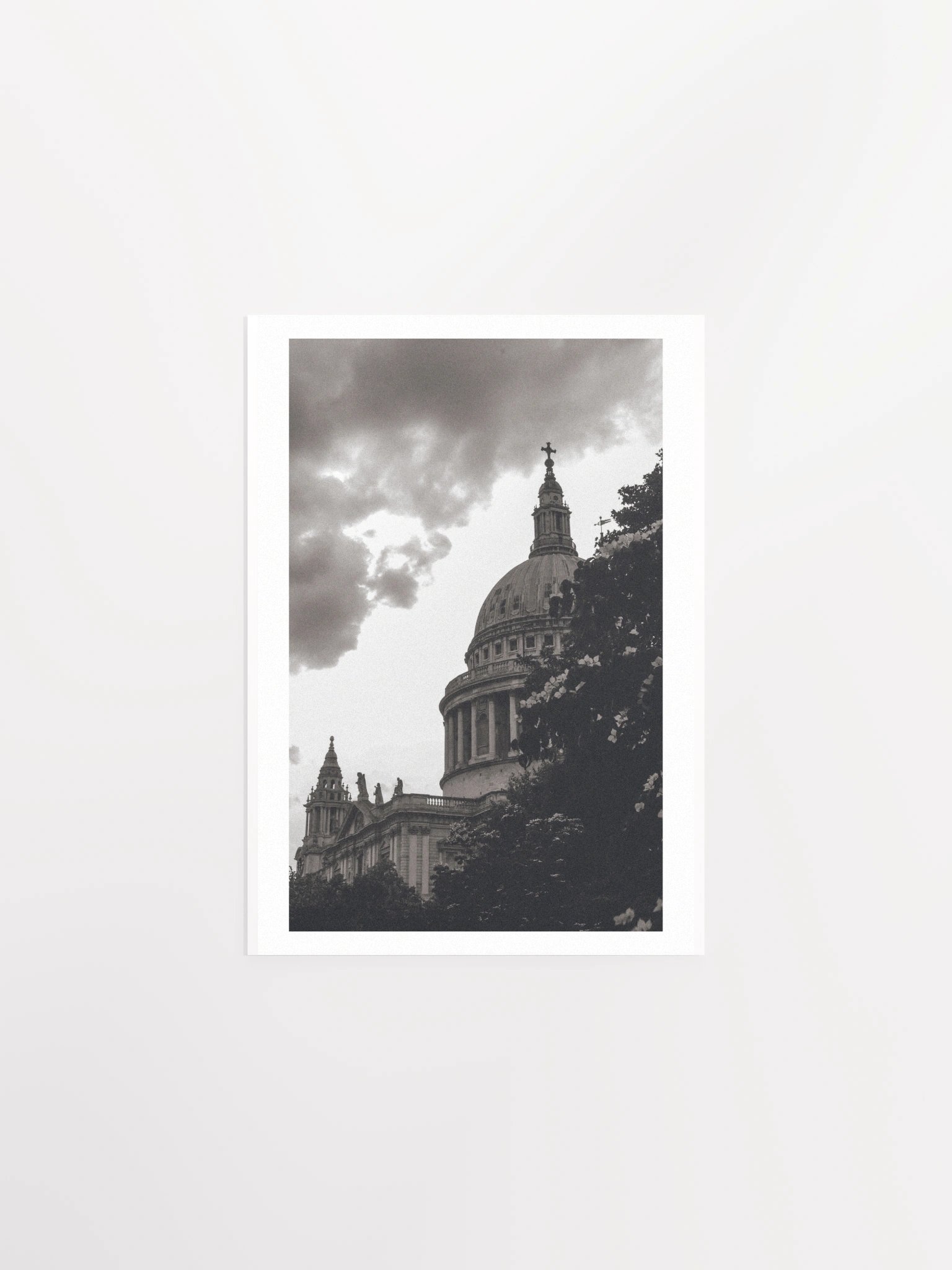 Flowers of St. Paul - Black & White / Print product image (3)