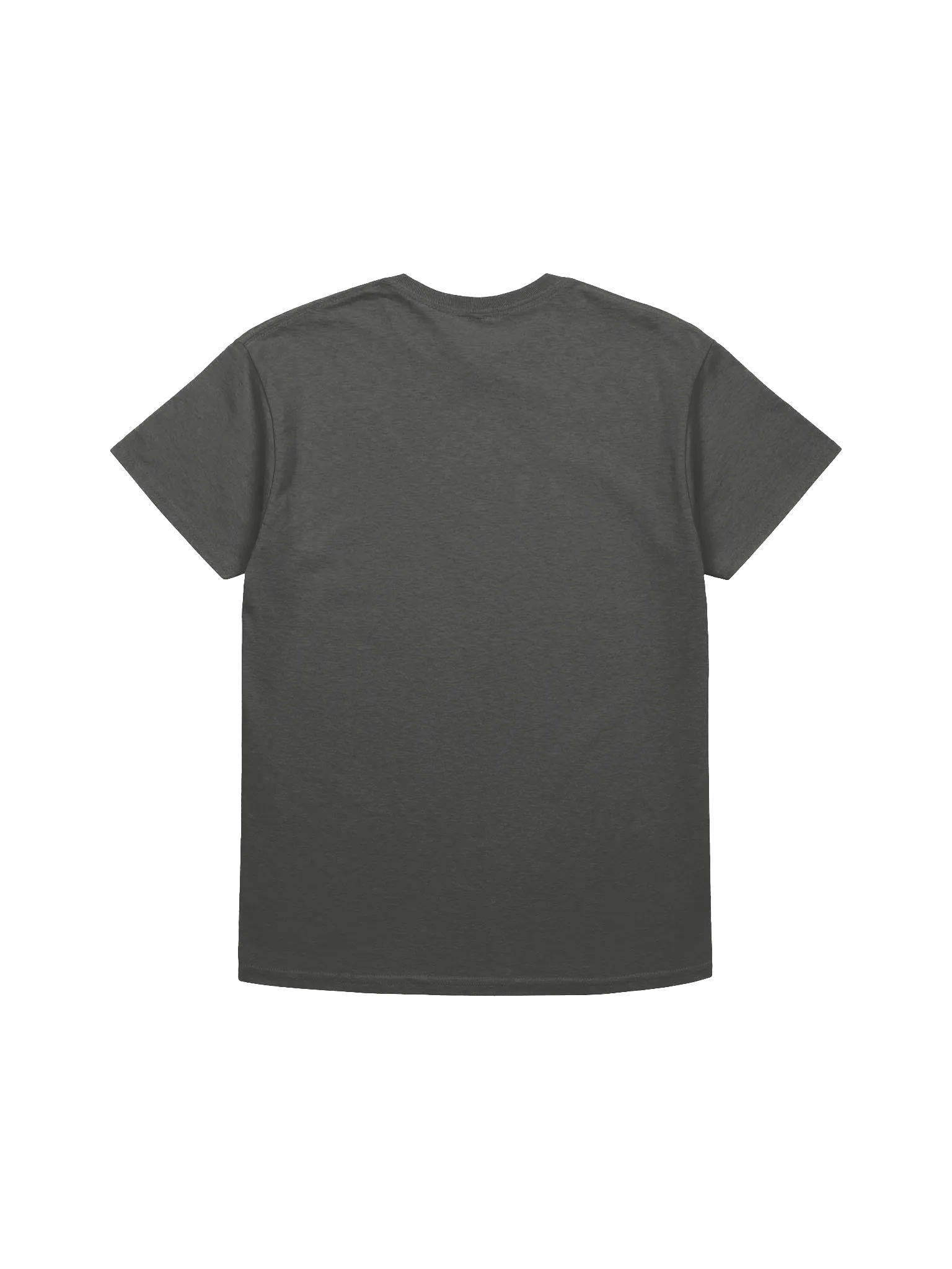 Modesty is My Power Panda T-Shirt product image (10)