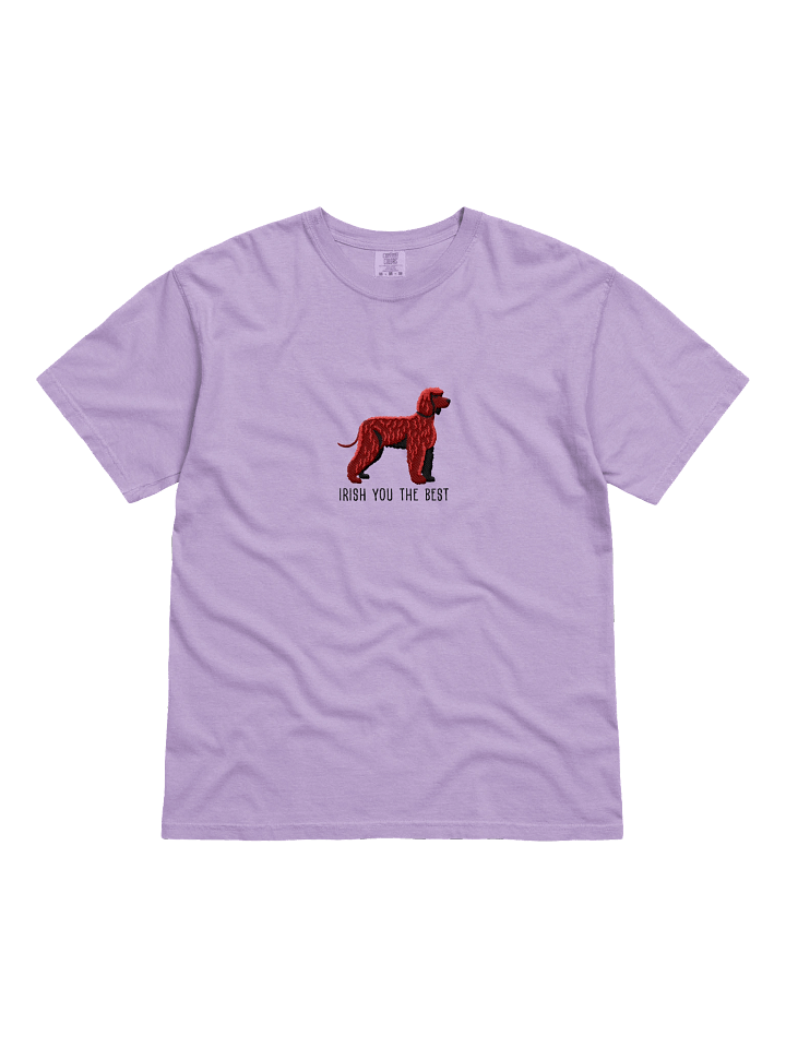 Irish You the Best T-Shirt(Embroidered) of an Irish Water Spaniel product image (31)