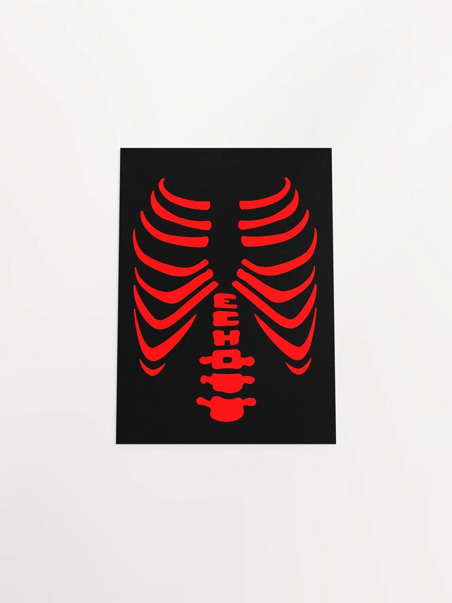 Echo Shirt Matte Poster Print product image (4)