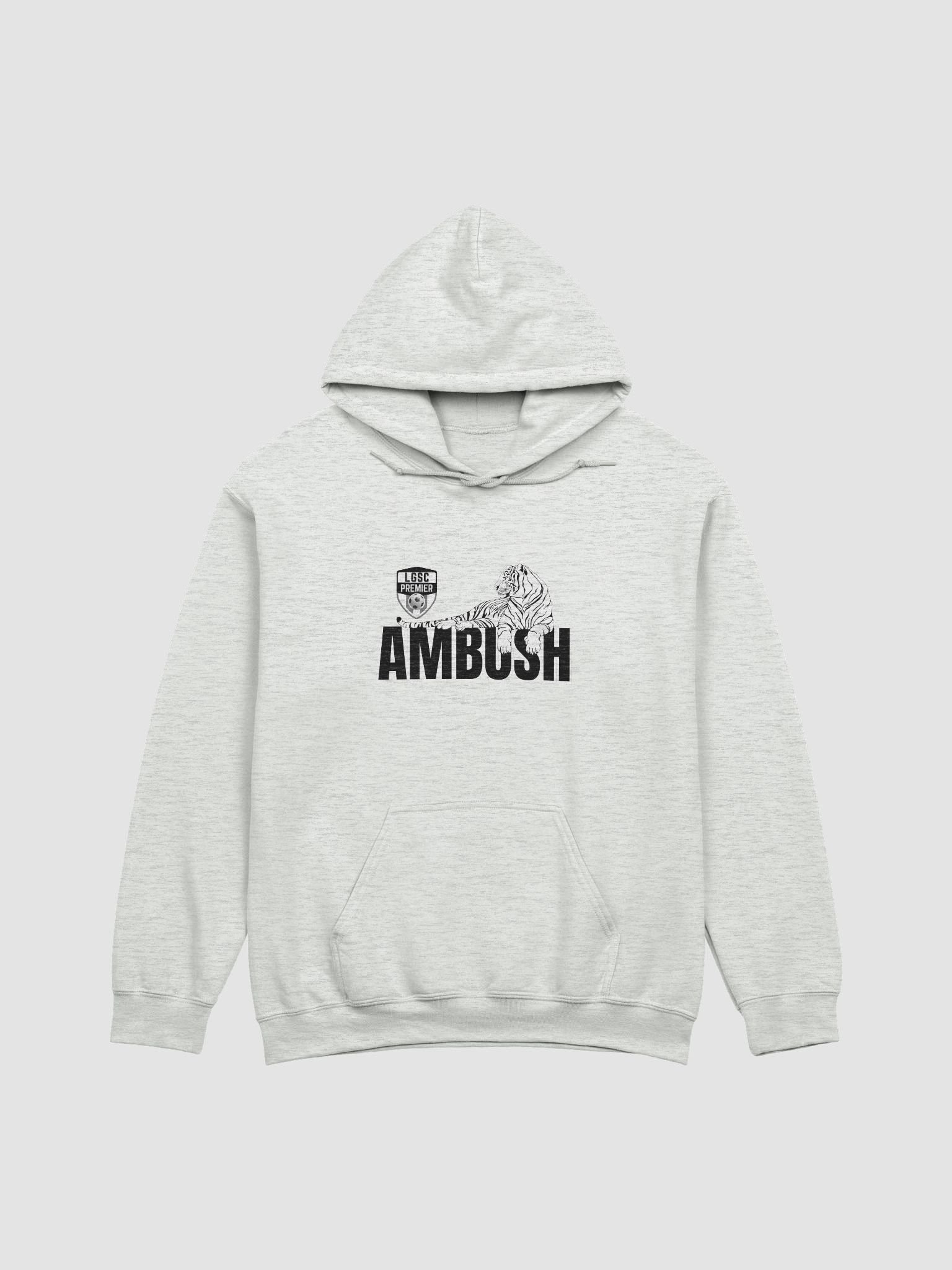 Ambush Tiger Classic Hoodie product image (8)