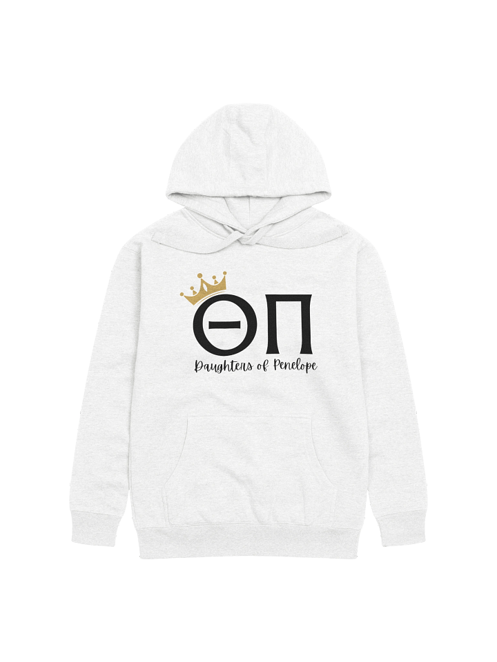 Theta Pi Hoodie product image (1)