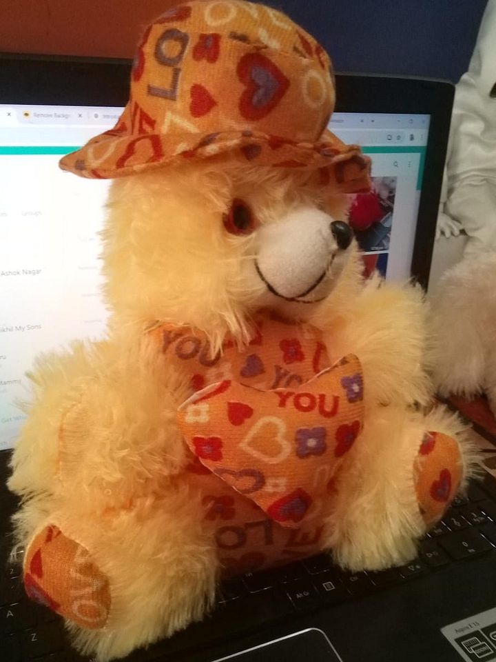 TEDDY BEAR product image (2)