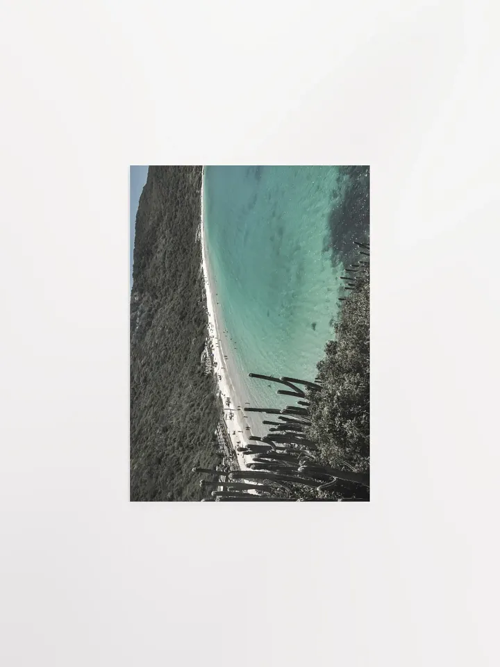 Cactus en Arraial do Cabo product image (2)