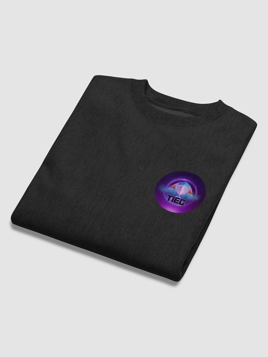 TIEG Creations LTD X Champion Spaceship Sweatshirt product image (6)