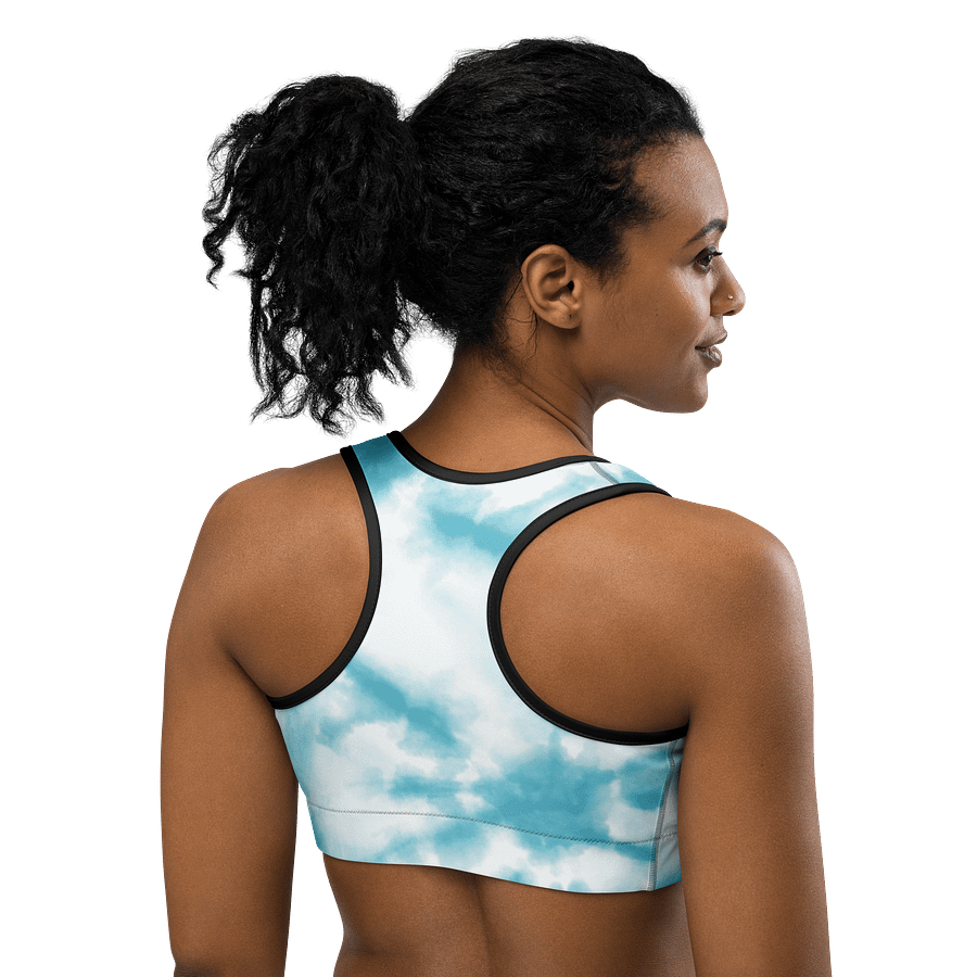 VividFlex Sports Bra product image (4)