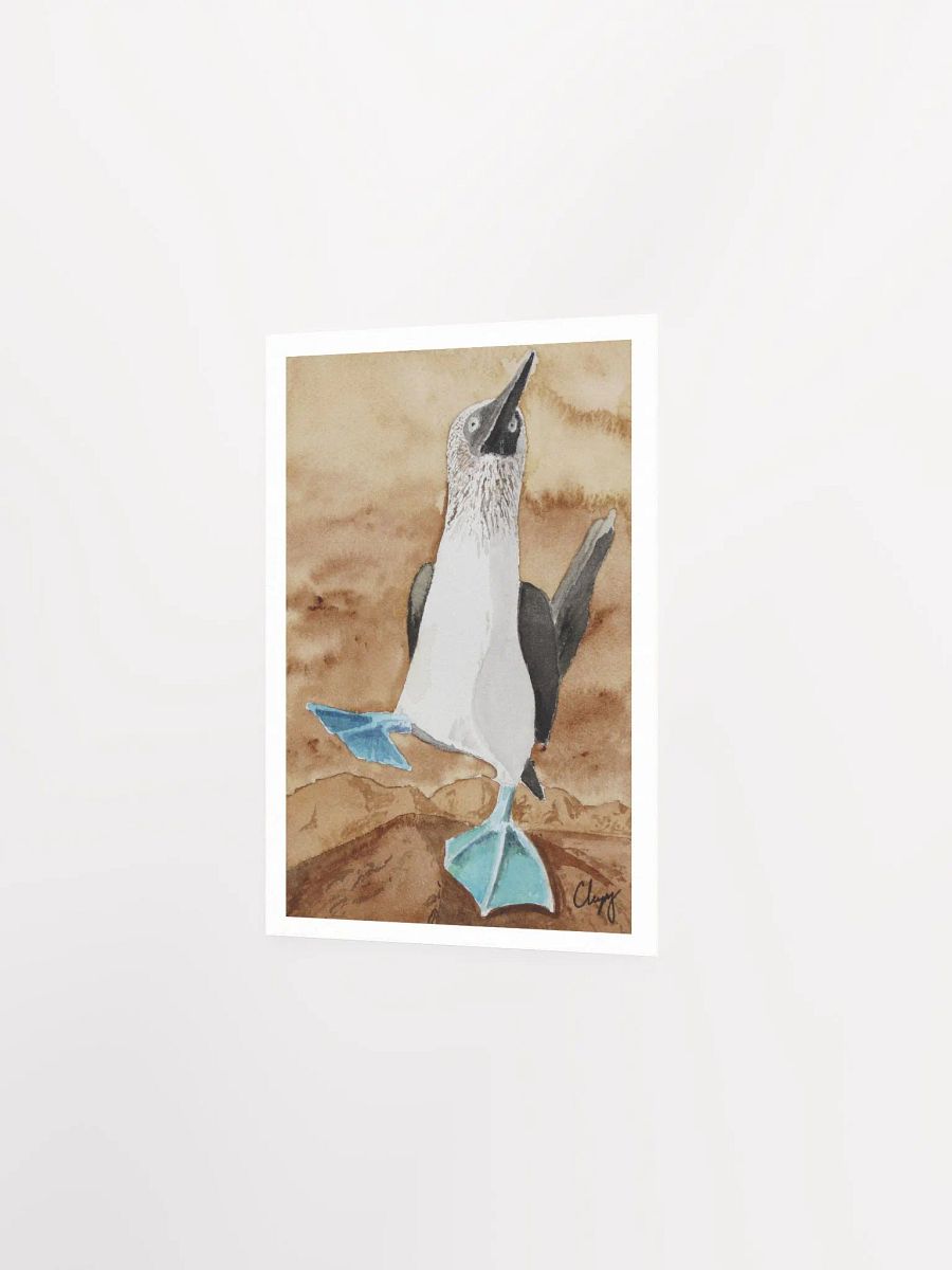 Blue Footed Booby Print product image (2)