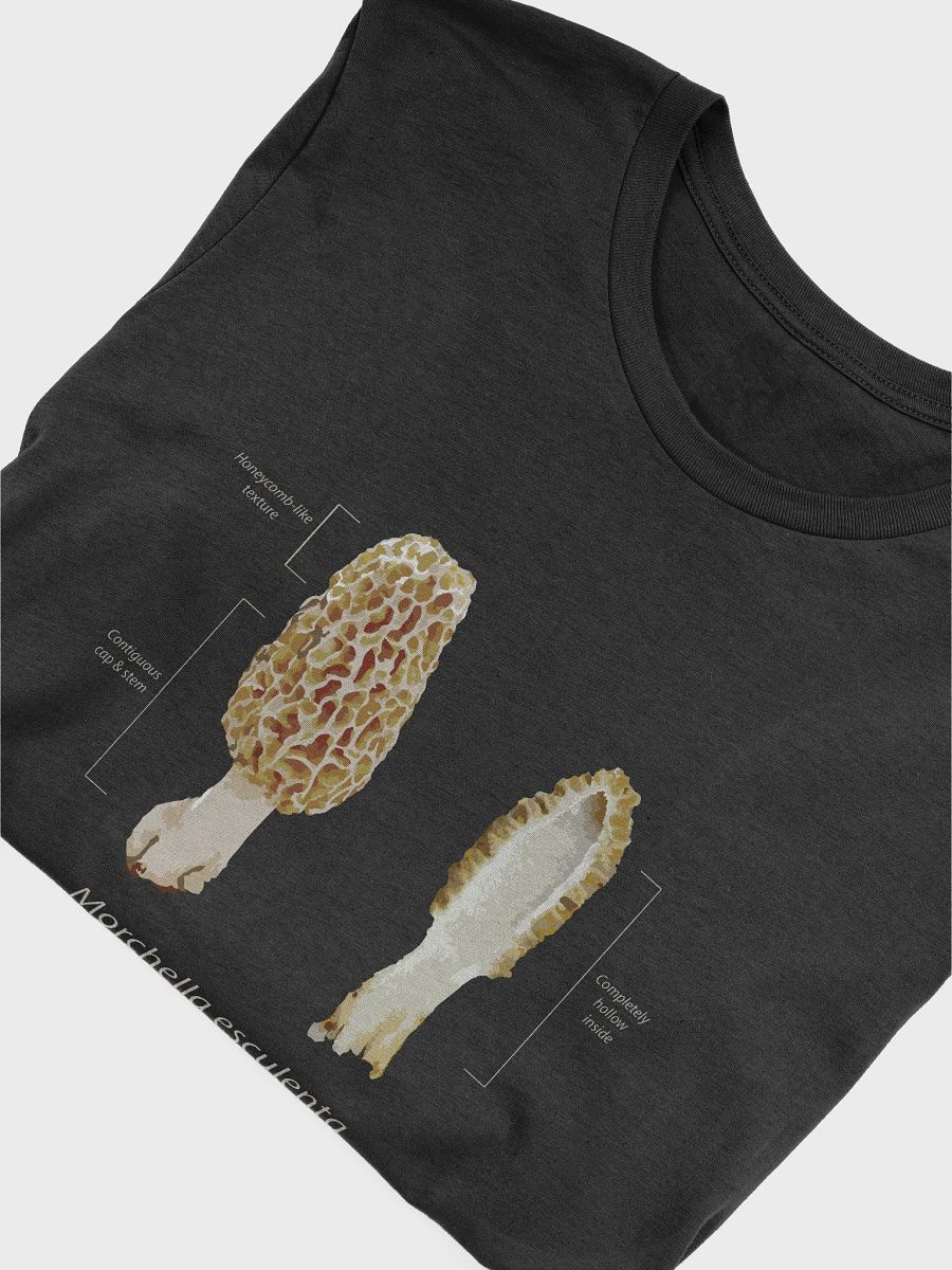 Morel Identification Black T-shirt product image (5)