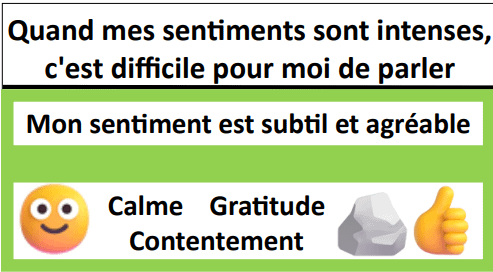 Mood Metre Tool - French product image (6)