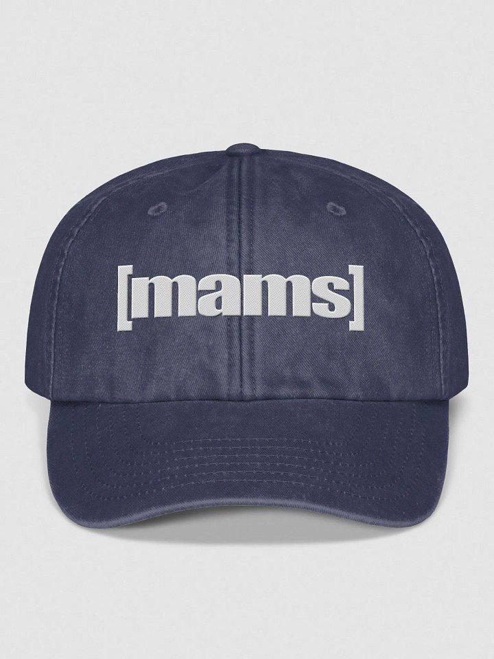 [mams] swim dad product image (1)