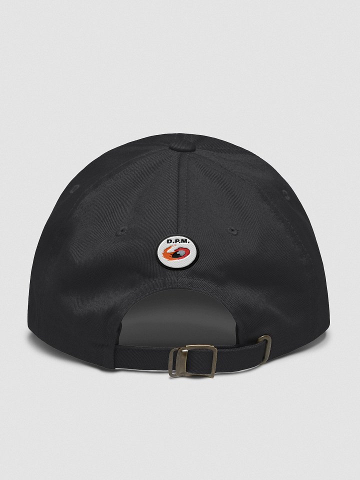HiBruiNation Logo Hat product image (2)