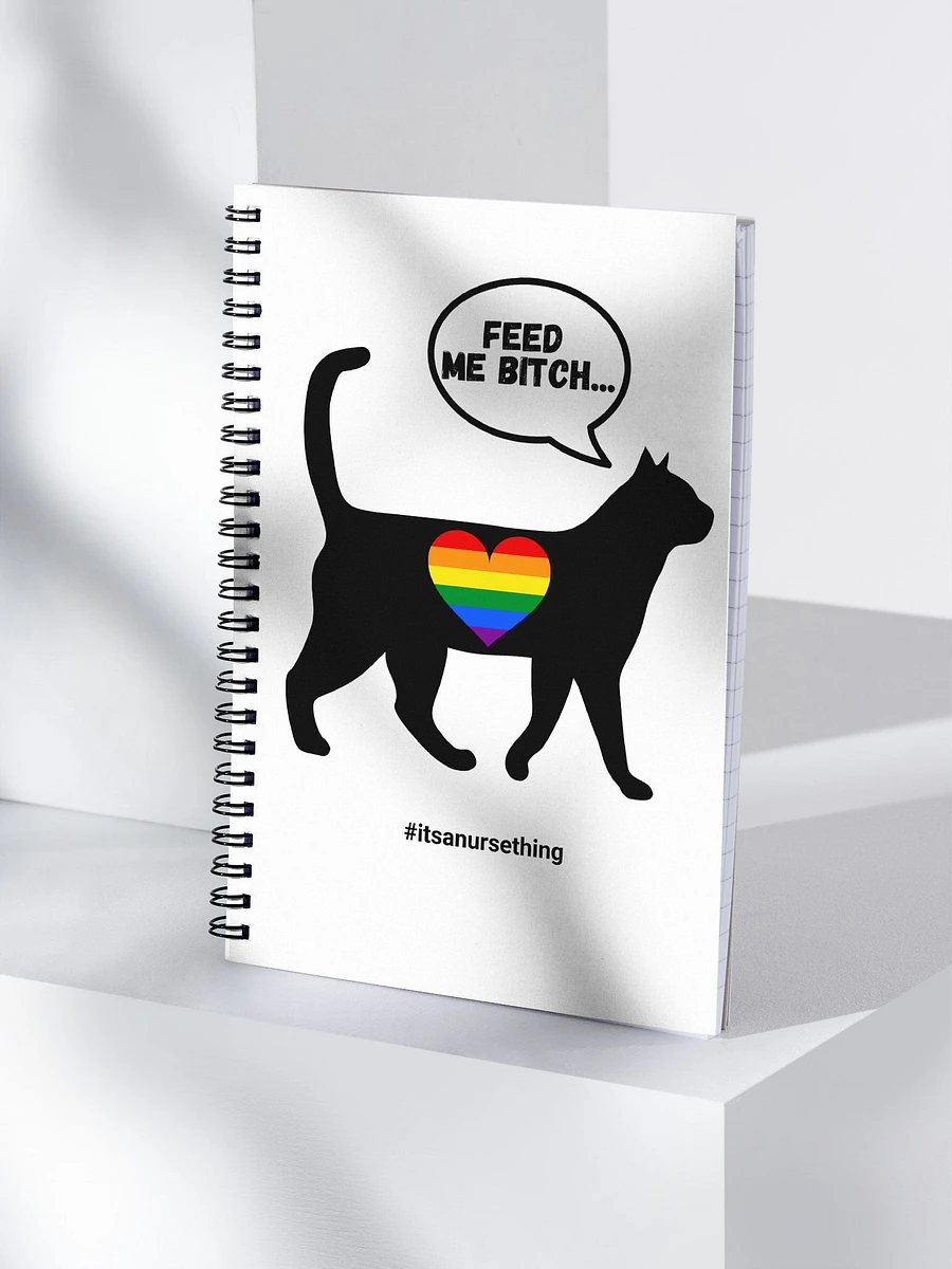 LGBTQ+ Nurse Notebook Pussycat Rainbow product image (4)