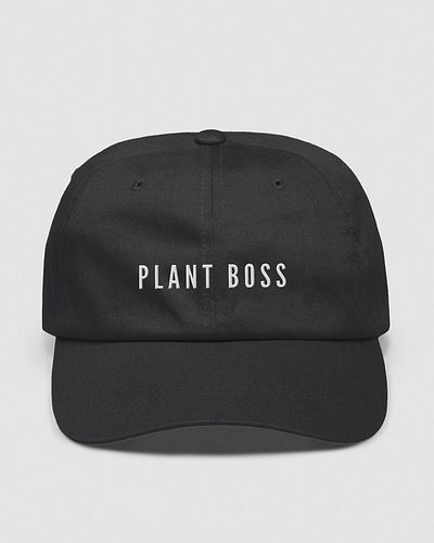 Who’s the PLANT BOSS? 🪴🌿💪🏻
.
.
.
.
.
.
#plantparentcommunity #plants #plantlife  #plantlife🌱 #wildflower #wildflowers #plantm...