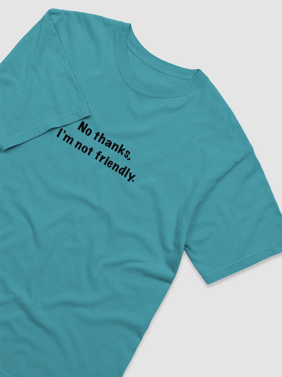 No thanks, I'm not friendly. product image (23)