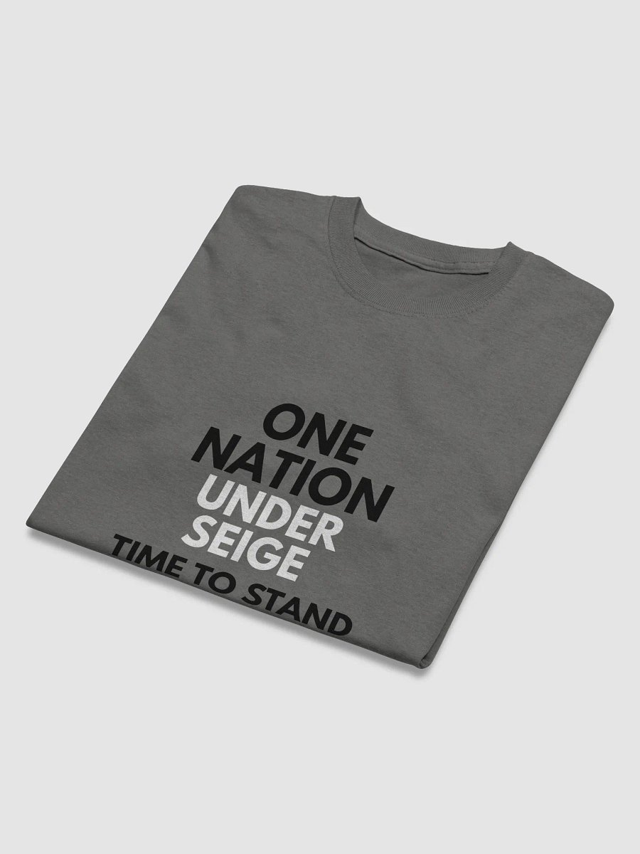 One Nation Under Seige product image (21)