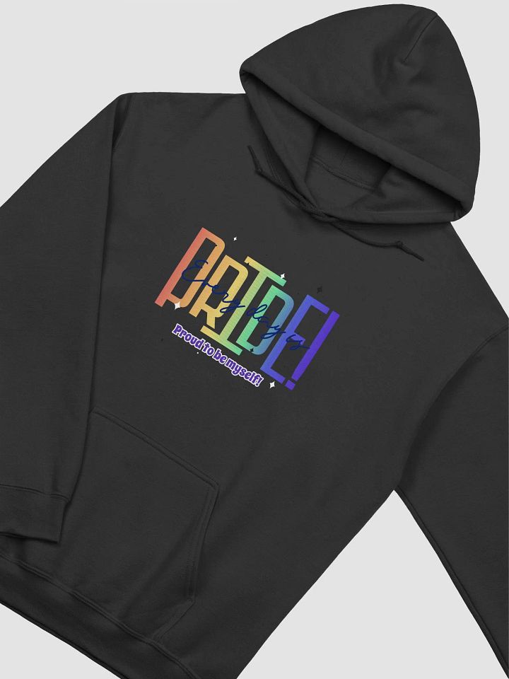 LGBT BIURBANSTYLE Classic Hoodie product image (1)