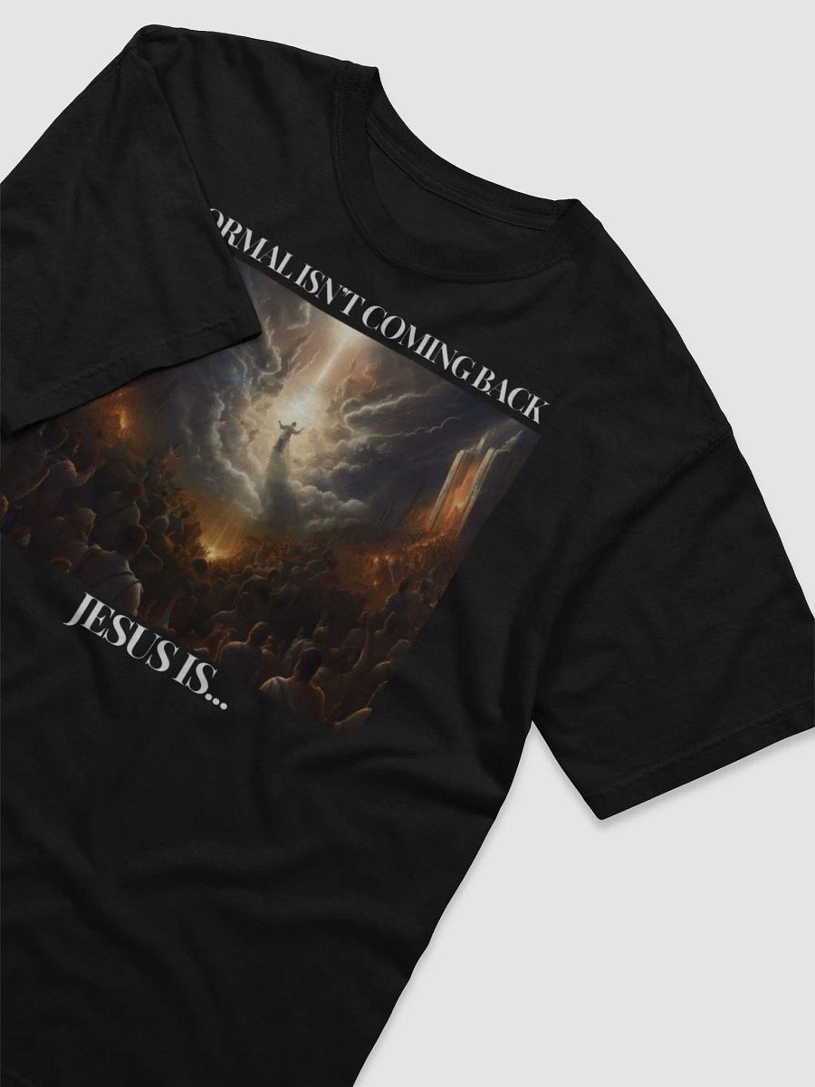 Normal Isn't Coming Back product image (3)