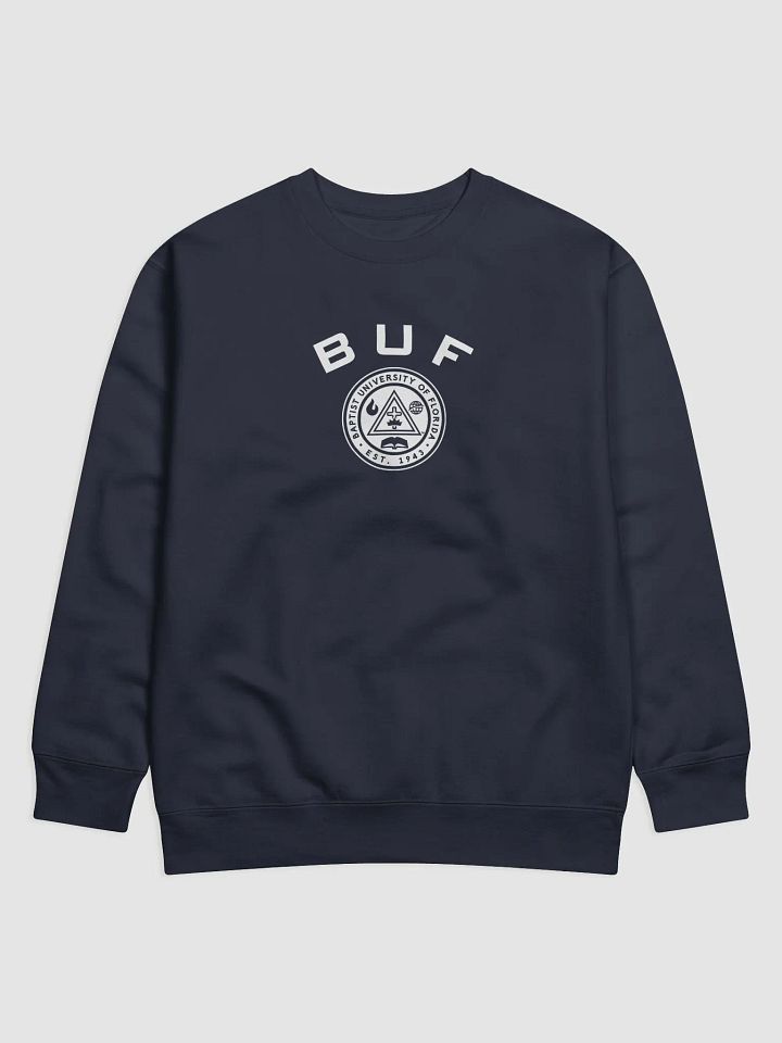 BUF ACADEMIC SWEATSHIRT product image (9)