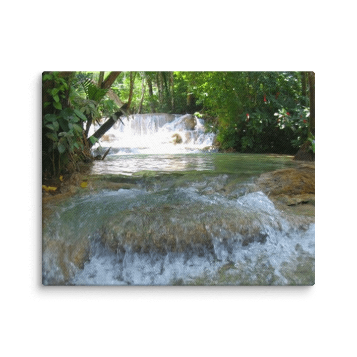 Nature's Canvas product image (1)