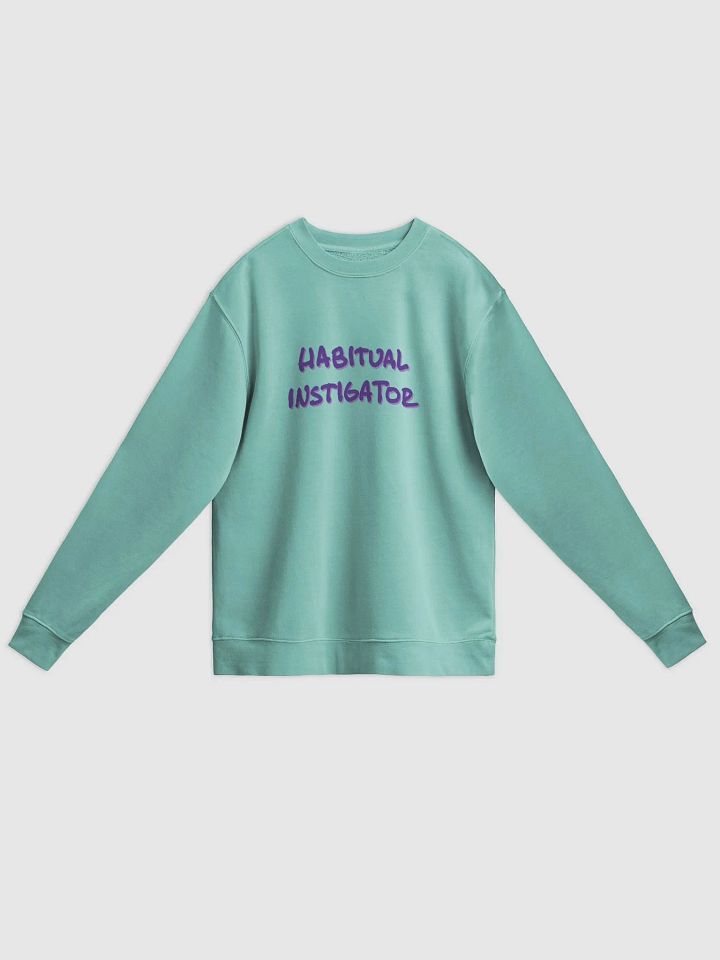 HABITUAL INSTIGATOR (berry shadow design) printed pigment crewneck product image (15)