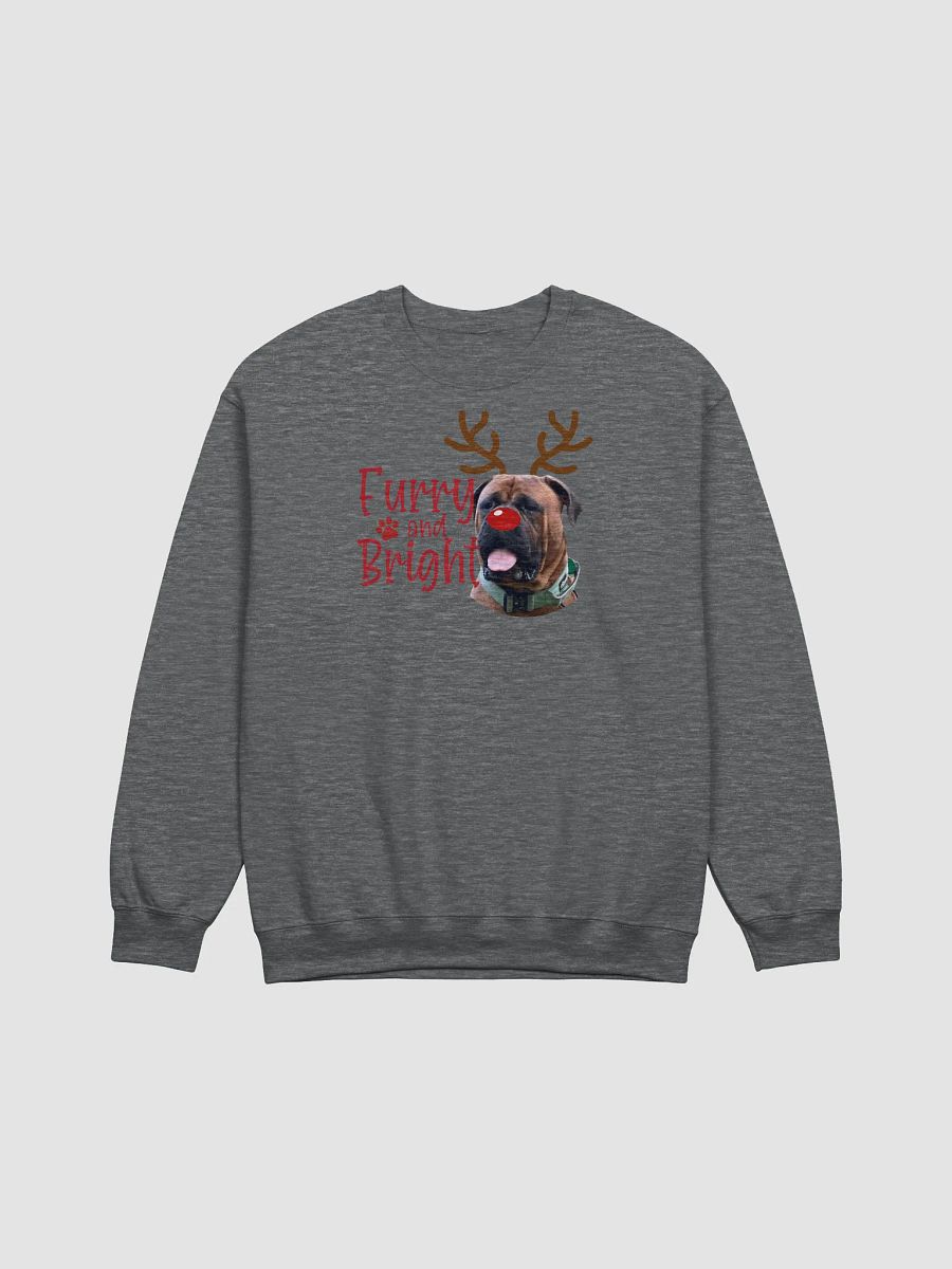 Furry and Bright Crewneck product image (3)