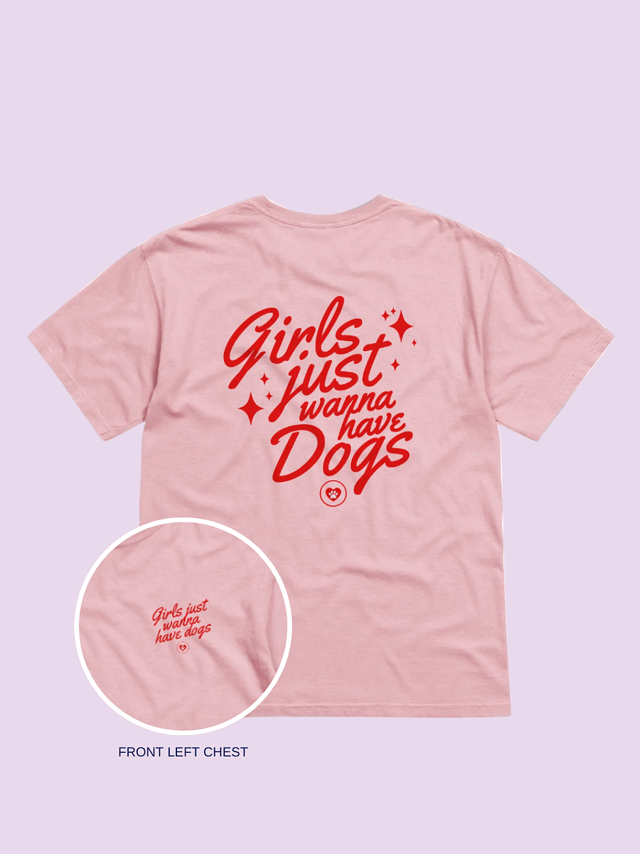 Pawsitively Chic Tee product image (1)