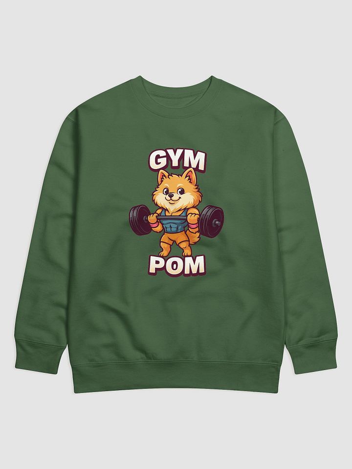 Gym Pom Cartoon Dog Premium Sweatshirt product image (1)