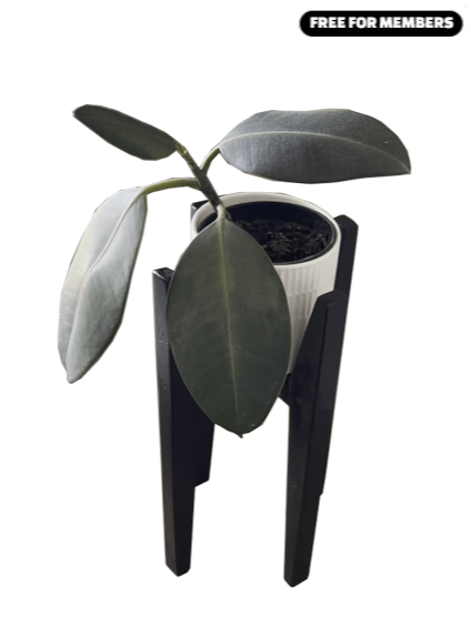 One 2x2 Potted Plant Rack product image (1)