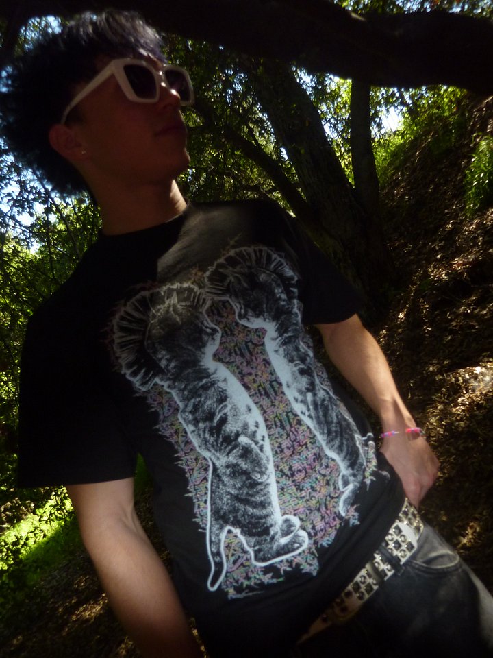 Punk Cat CRT product image (1)