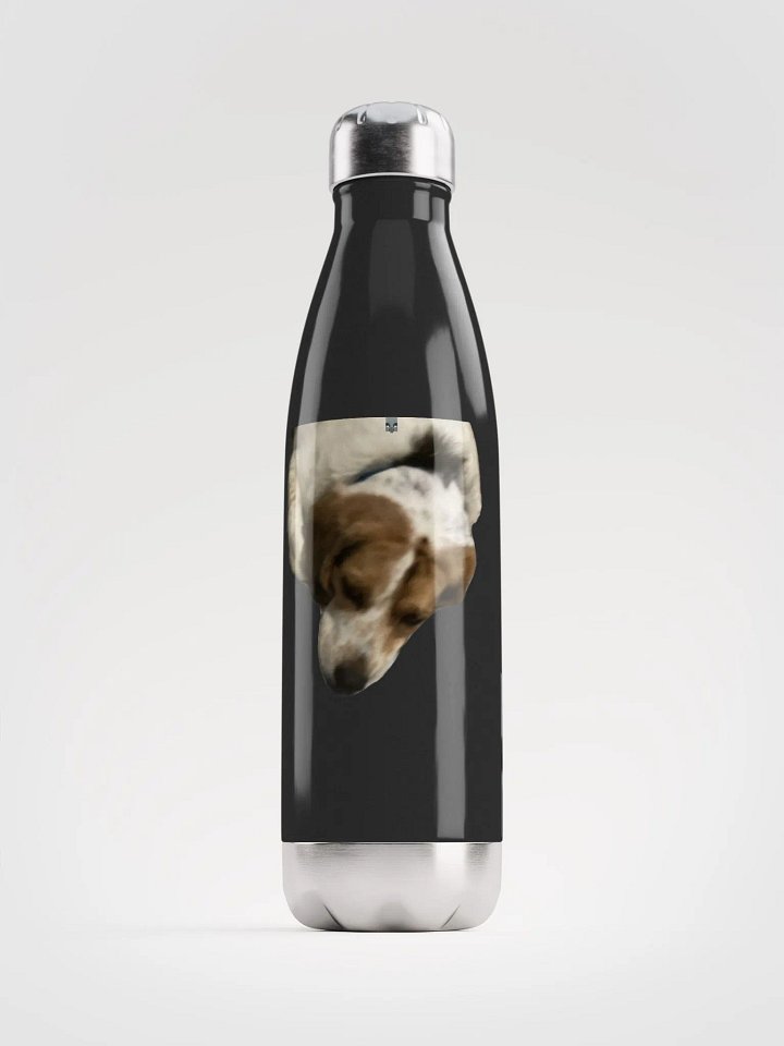 Stainless Water Bottle product image (1)