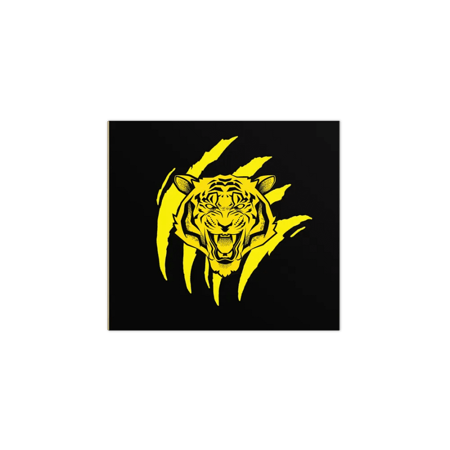 Colección de blocs de notas con diseño de tigre rugiente product image (2)