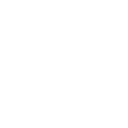 星火同盟