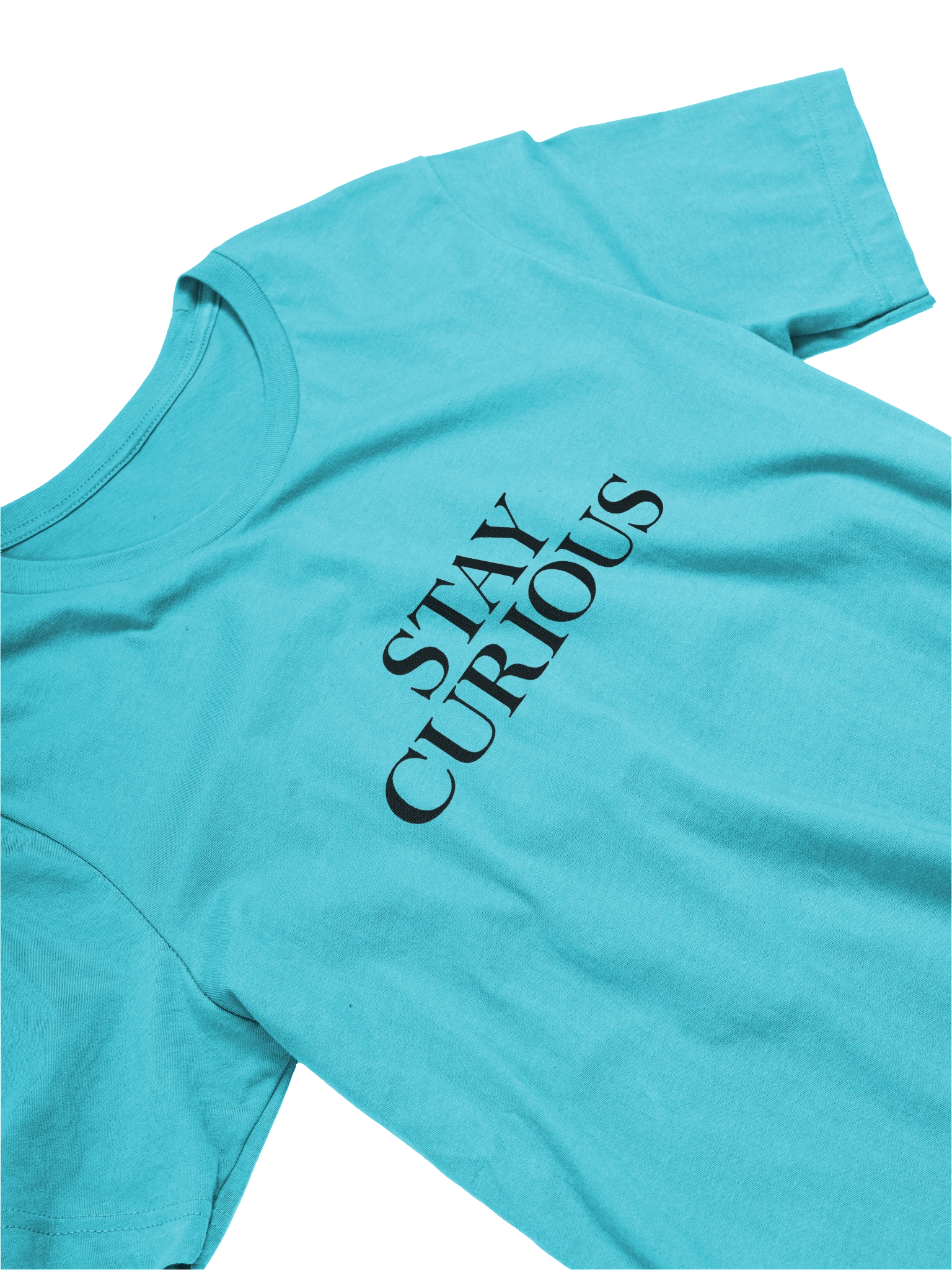 Stay Curious T-Shirt | Motivational Quote Tee | Inspirational Typography Shirt | Bella Canvas 3001 product image (3)