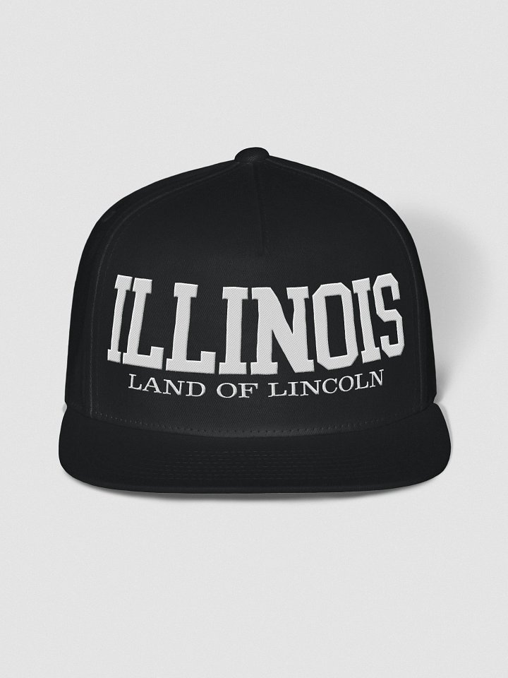 Illinois Land of Lincoln Snapback Cap product image (3)